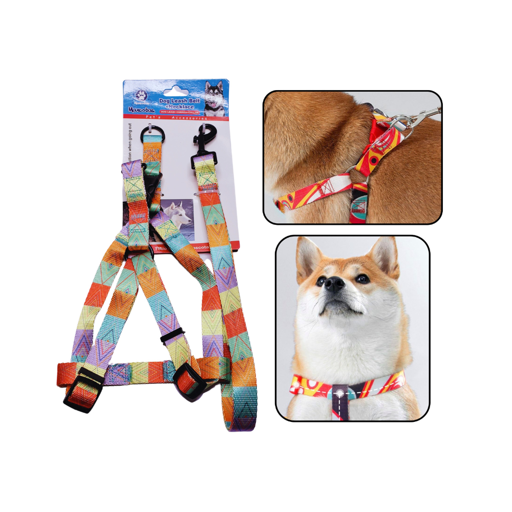 Mascotas - Set de Correa para Perro diseño cuadros de colores
