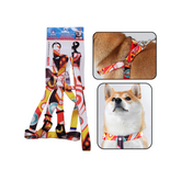 Mascotas - Set de correa para perro color naranja