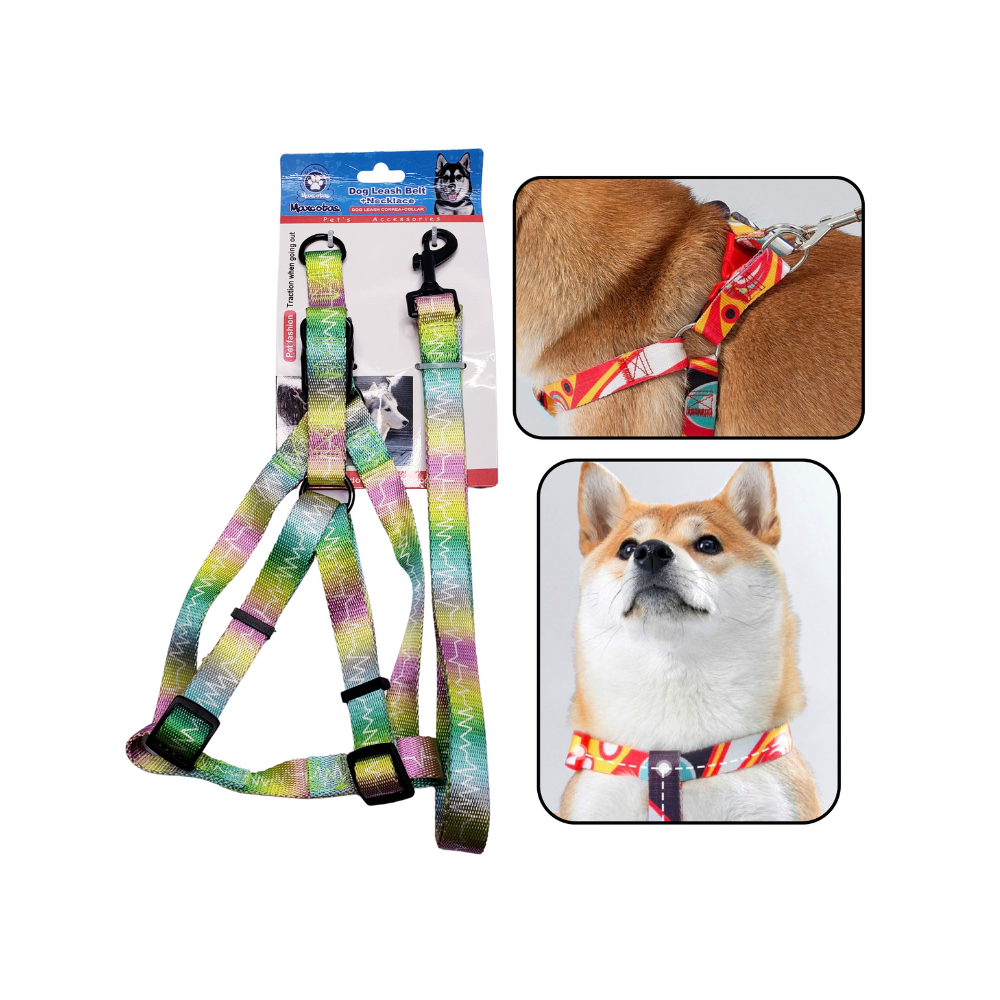 Mascotas - Set de correa para perro color verde