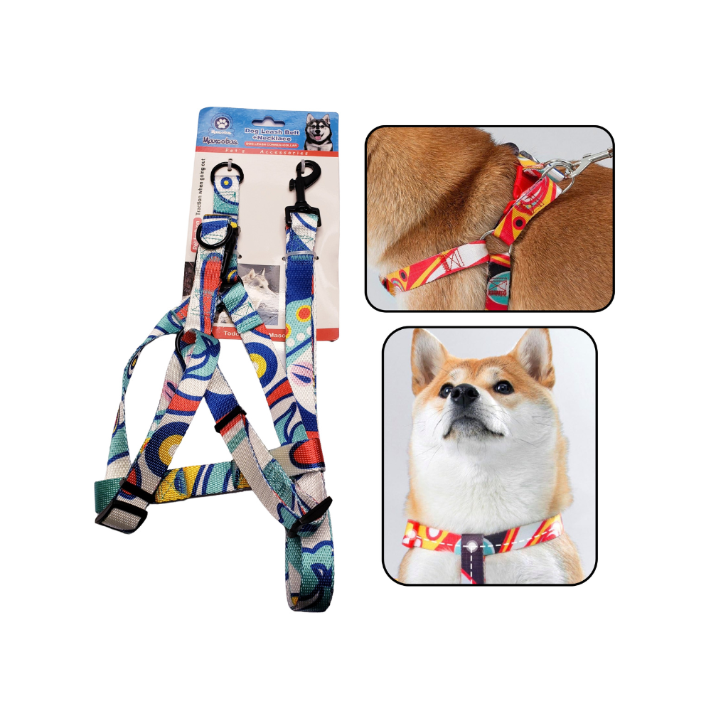 Mascotas - Set de correa para perro color azul