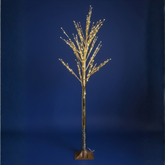 DECORACION